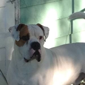 Meet your Posher, Ralea